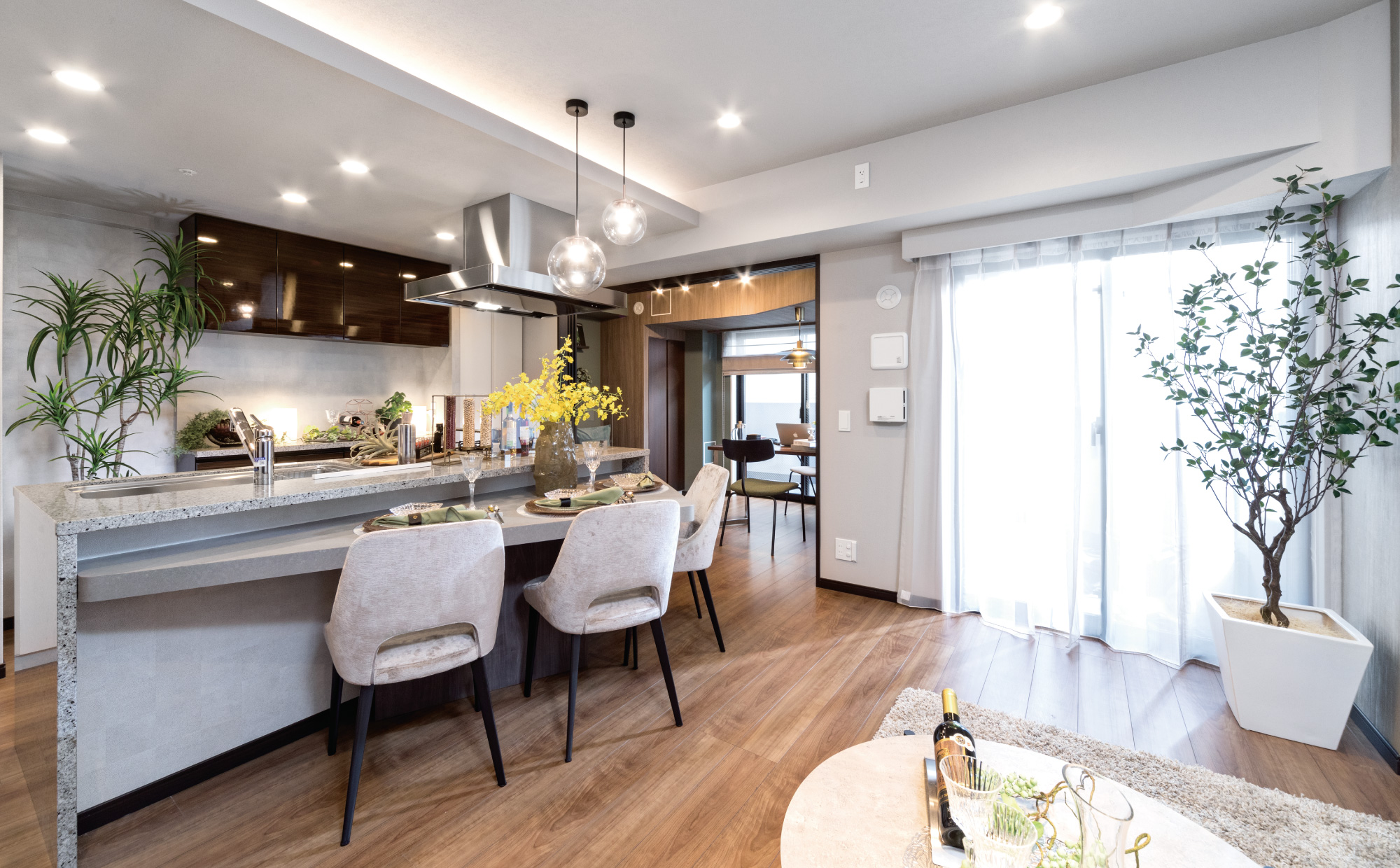 Living Dining Kitchen画像2