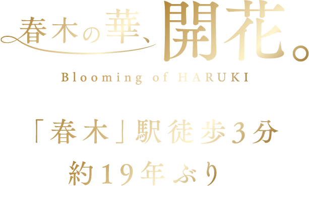 春木の華、開花。「春木」駅徒歩3分、約19年ぶり（※１）に待望の新築分譲マンションが誕生。