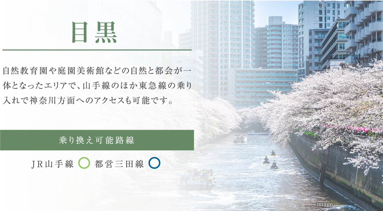 目黒