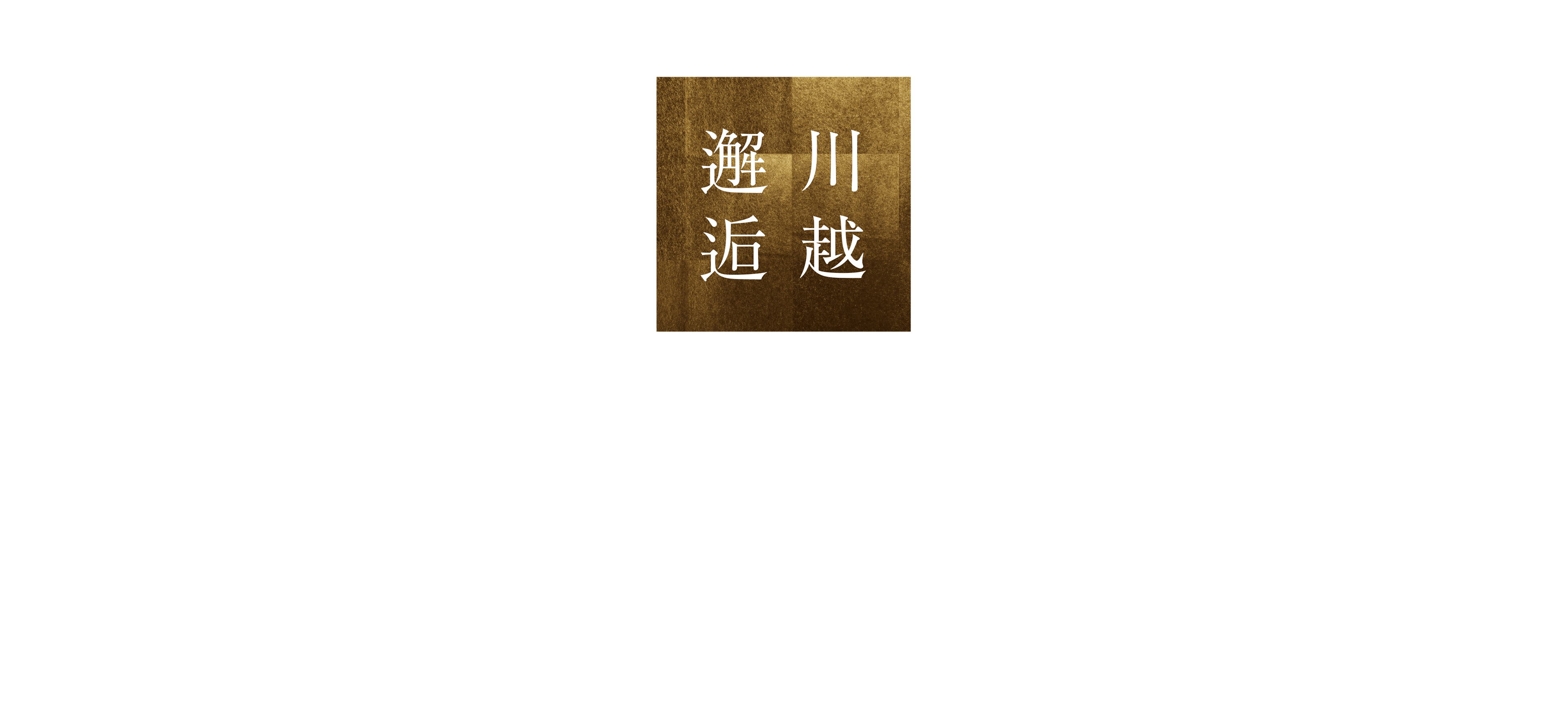川崎邂逅