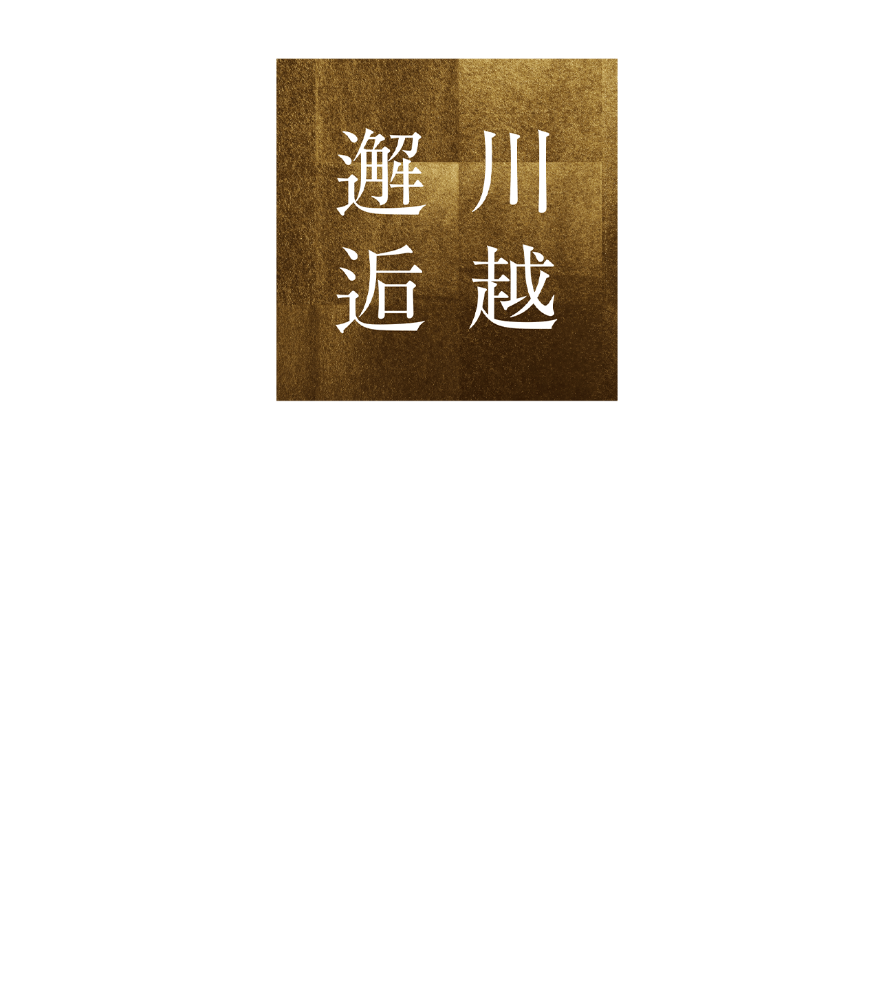 川崎邂逅