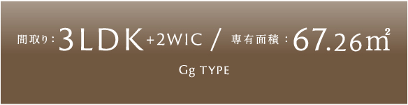 Gg TYPE