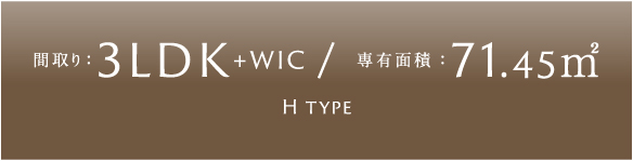 H TYPE